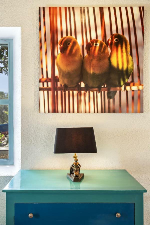 Riad Tamayourt Ocean View & Piscine Chauffee A 30 Essaouira Exterior photo